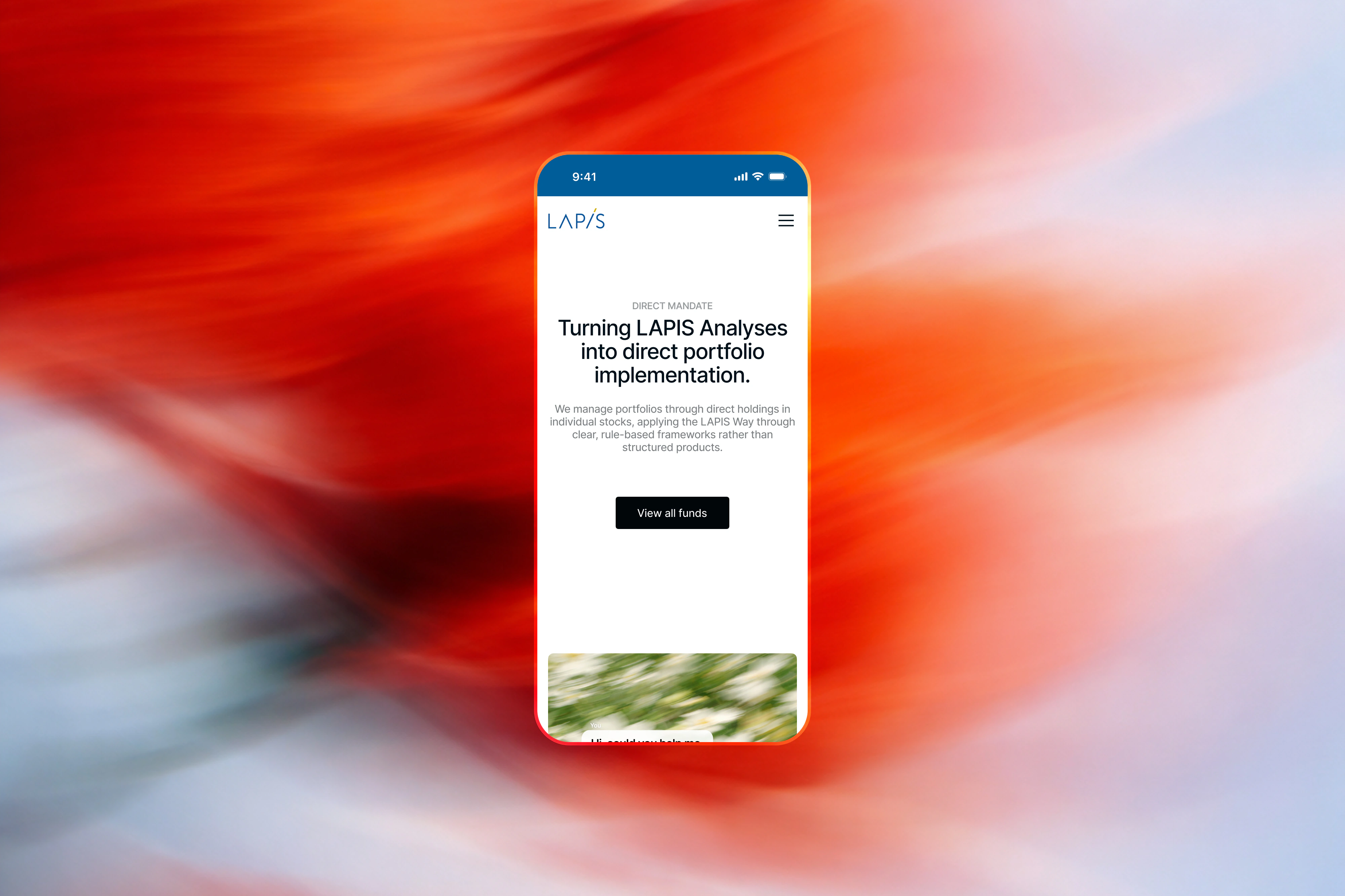Lapis — wide web banner and digital brand presence