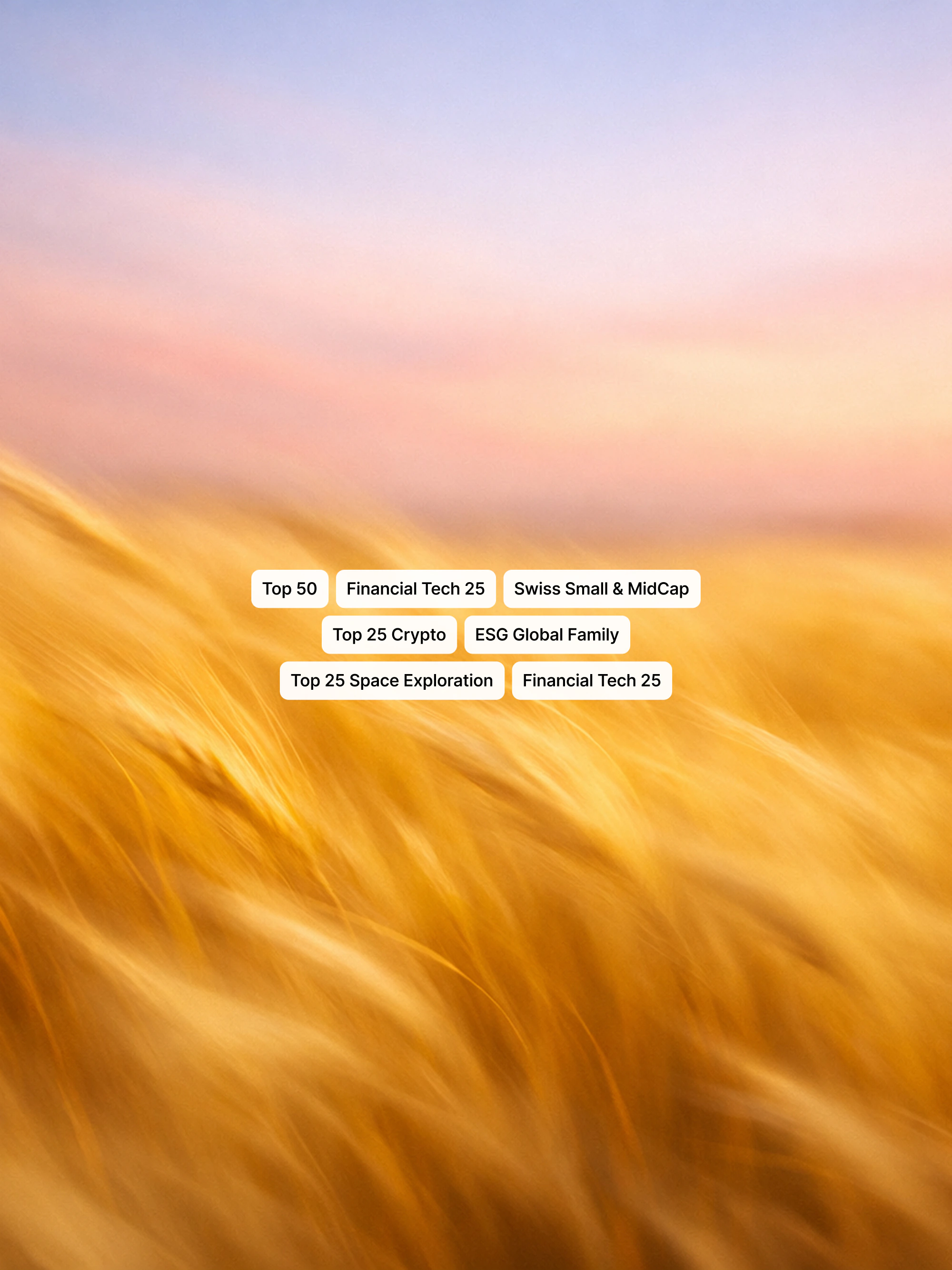 Lapis — institutional landing page for dedicated investment solutions